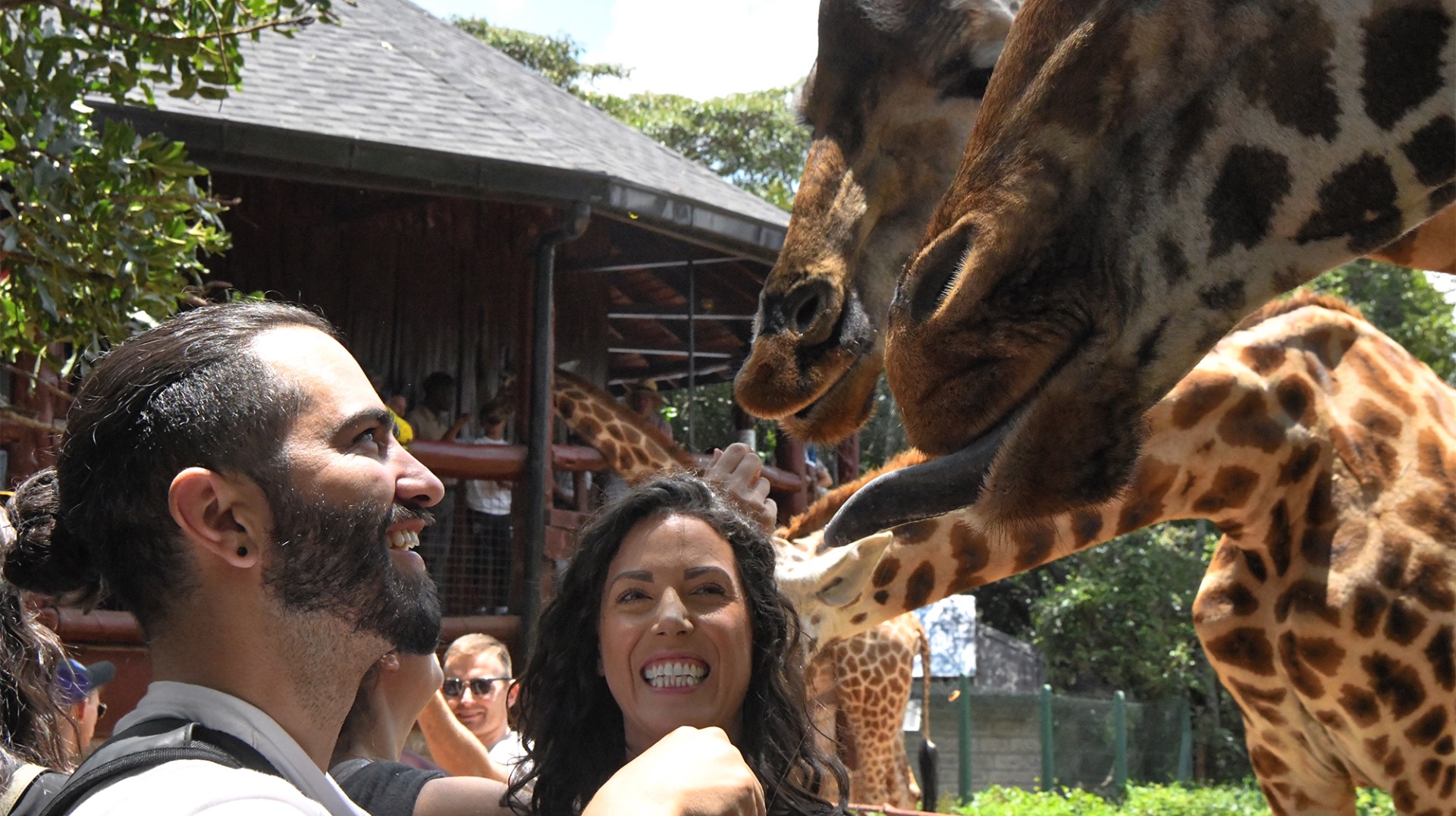 Lincoln Park Zoo with couples walking among wildlife exhibits