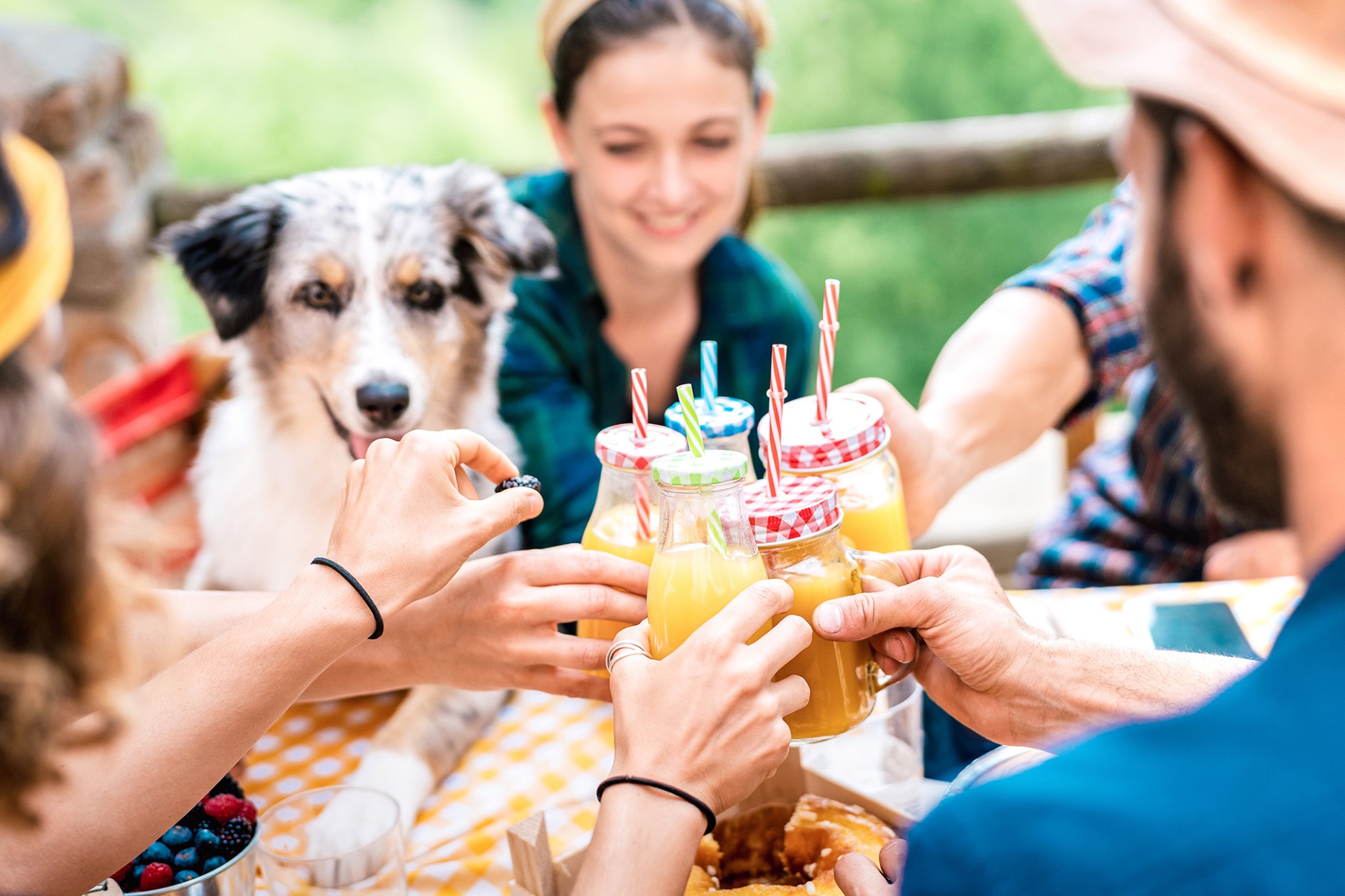 Unique dog-friendly first date bar in Seattle - Dog Yard with off-leash play area
